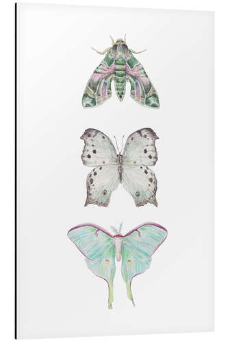 Aluminium print Mint Moths and Butterflies