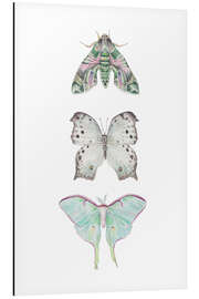 Cuadro de aluminio Mint Moths and Butterflies