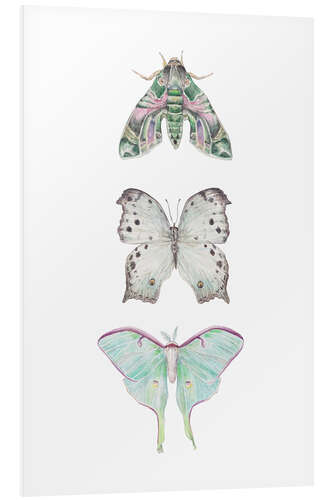 Foam board print Mint Moths and Butterflies