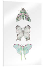 Gallery print Mint Moths and Butterflies