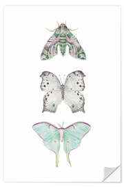 Wall sticker Mint Moths and Butterflies