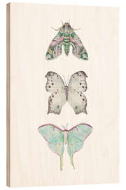 Stampa su legno Mint Moths and Butterflies