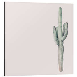 Aluminium print Saguaro Cactus