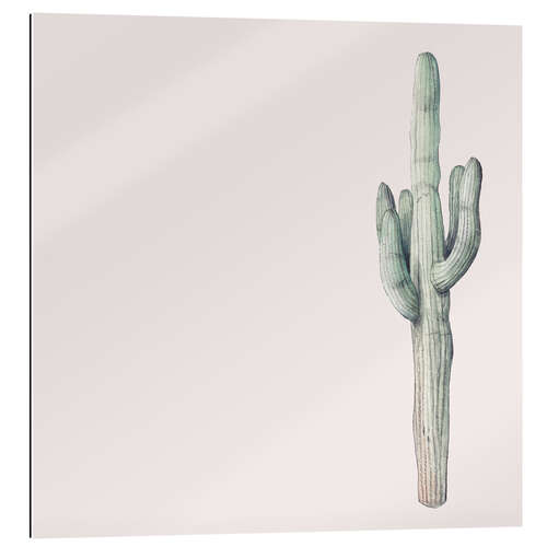 Gallery print Saguaro Cactus