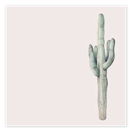 Wall print  Saguaro Cactus - Wandering Laur