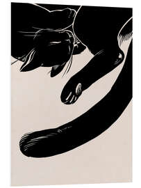 Foam board print Resting feline friend, black