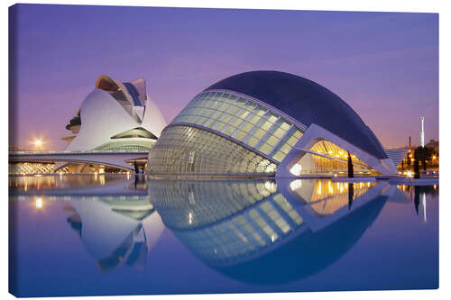 Lienzo City of the Arts, Valencia - Spain