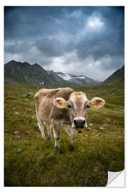 Sticker mural Cow on Swiss Alp