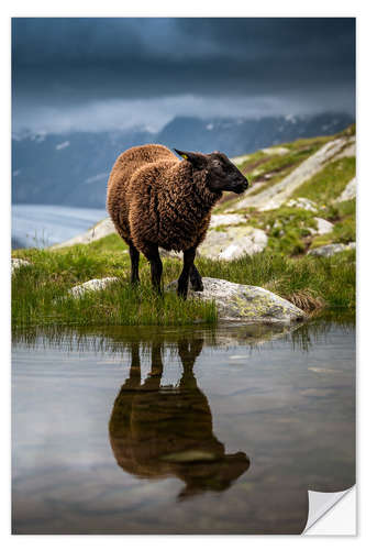 Självhäftande poster Sheep sport in Valais with reflection