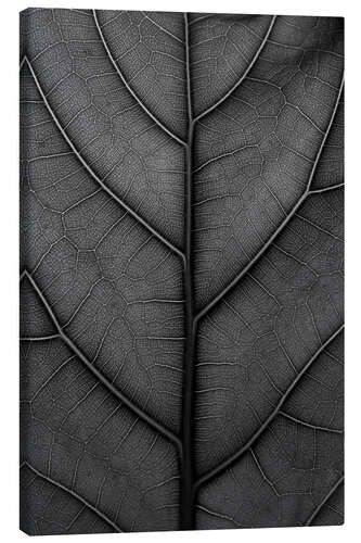 Lienzo Black leaf with delicate veins - violin fig