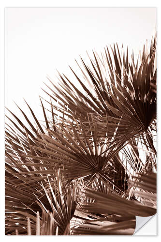 Wandsticker Goldene Palm Blätter im Sonnenuntergang
