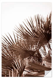 Autocolante decorativo Golden palm leaves in sunset