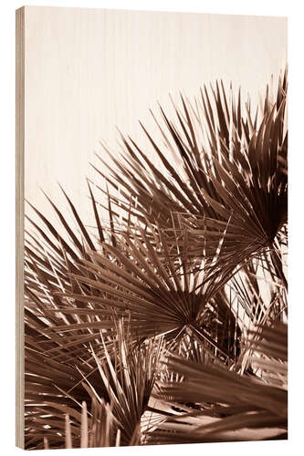 Hout print Golden palm leaves in sunset