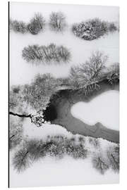 Aluminium print Icy snowy lake in winter forest