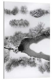 Galleritryk Icy snowy lake in winter forest