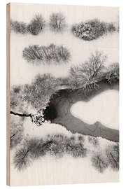 Wood print Icy snowy lake in winter forest