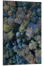 Magnettafel Bunte Bäume im Herbstwald