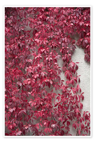 Poster Red leaves and the beauty of autumn