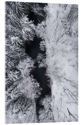 Acrylic print Black river through the white snow in the winter forest