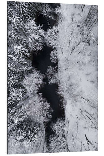 Alumiinitaulu Black river through the white snow in the winter forest