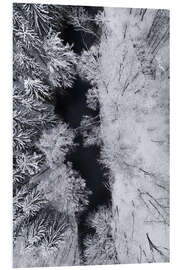 Foam board print Black river through the white snow in the winter forest