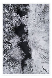 Póster Black river through the white snow in the winter forest