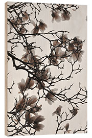 Hout print Magnolia blossoms