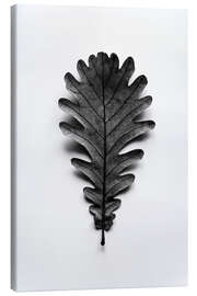 Canvas print Autumn treasures - black oak leaf on white