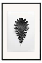 Gerahmter Kunstdruck Herbst Schätze - schwarzes Eichenblatt auf weiß