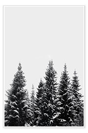 Póster Snow Covered Trees