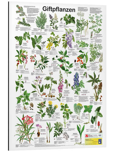 Aluminium print Poisonous plants (German)