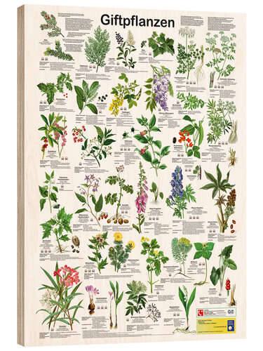 Wood print Poisonous plants (German)