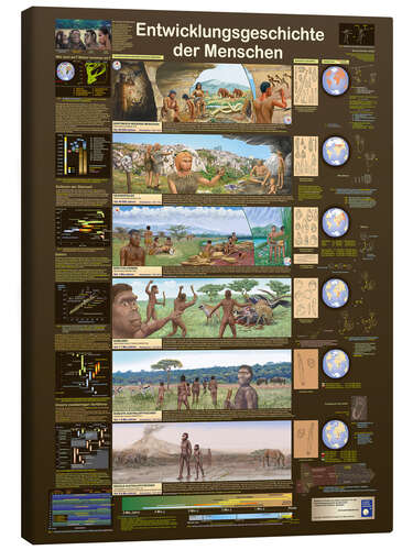 Canvas print Human evolutionary history (German)