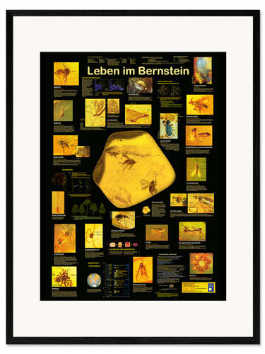 Kehystetty taidepainatus Life in Amber (German)