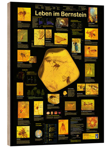 Puutaulu Life in Amber (German)