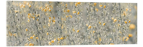 Acrylglas print Flower meadow