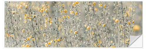 Vinilo para la pared Flower meadow