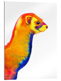 Gallery print Polecat