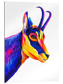 Gallery print Chamois