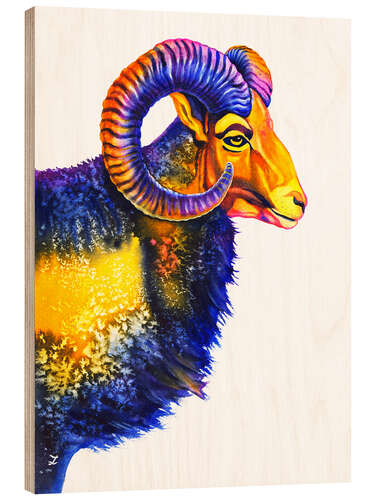 Trebilde Mouflon