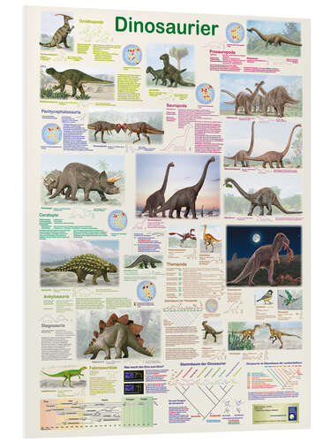 Foam board print Dinosaurs (German)