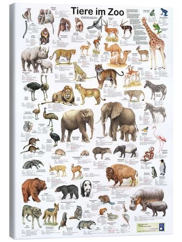 Canvas print Animals in the zoo (German)