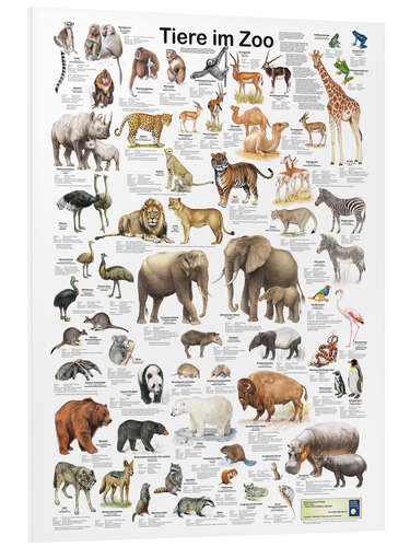 Foam board print Animals in the zoo (German)