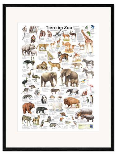 Stampa artistica con cornice Animali allo zoo (German)