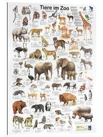 Gallery print Animals in the zoo (German)