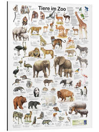 Magnettafel Tiere im Zoo