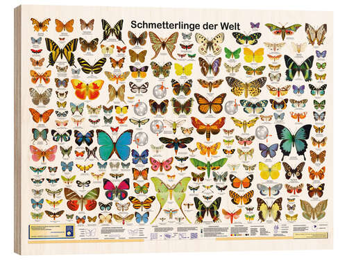 Wood print Butterflies of the world (German)