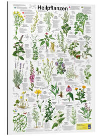 Magnettafel Heilpflanzen