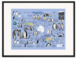 Gerahmter Kunstdruck Pinguine