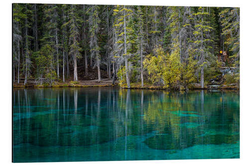 Alubild Spiegelung in Grassi Lakes, Kananaskis